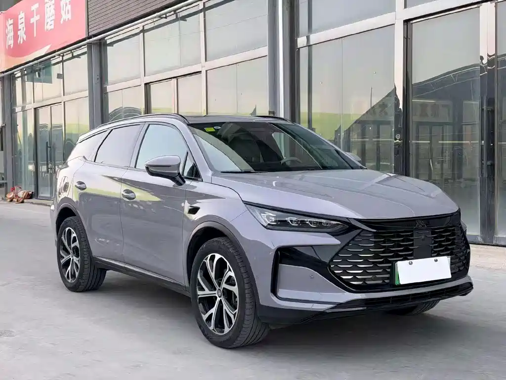 BYD Tang New Energy — миниатюра 3