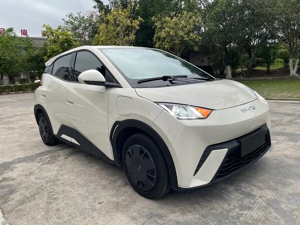BYD Seagull 2024 305km Freedom