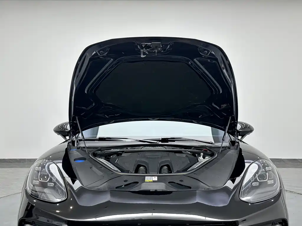Porsche Panamera — миниатюра 20