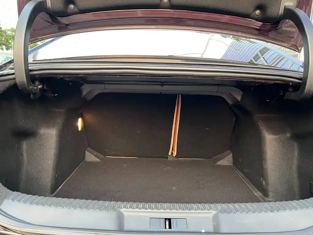 DS DS 5LS — миниатюра 30