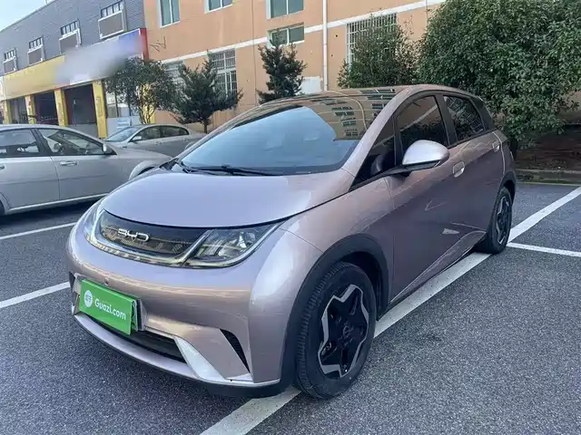 BYD DOLPHIN