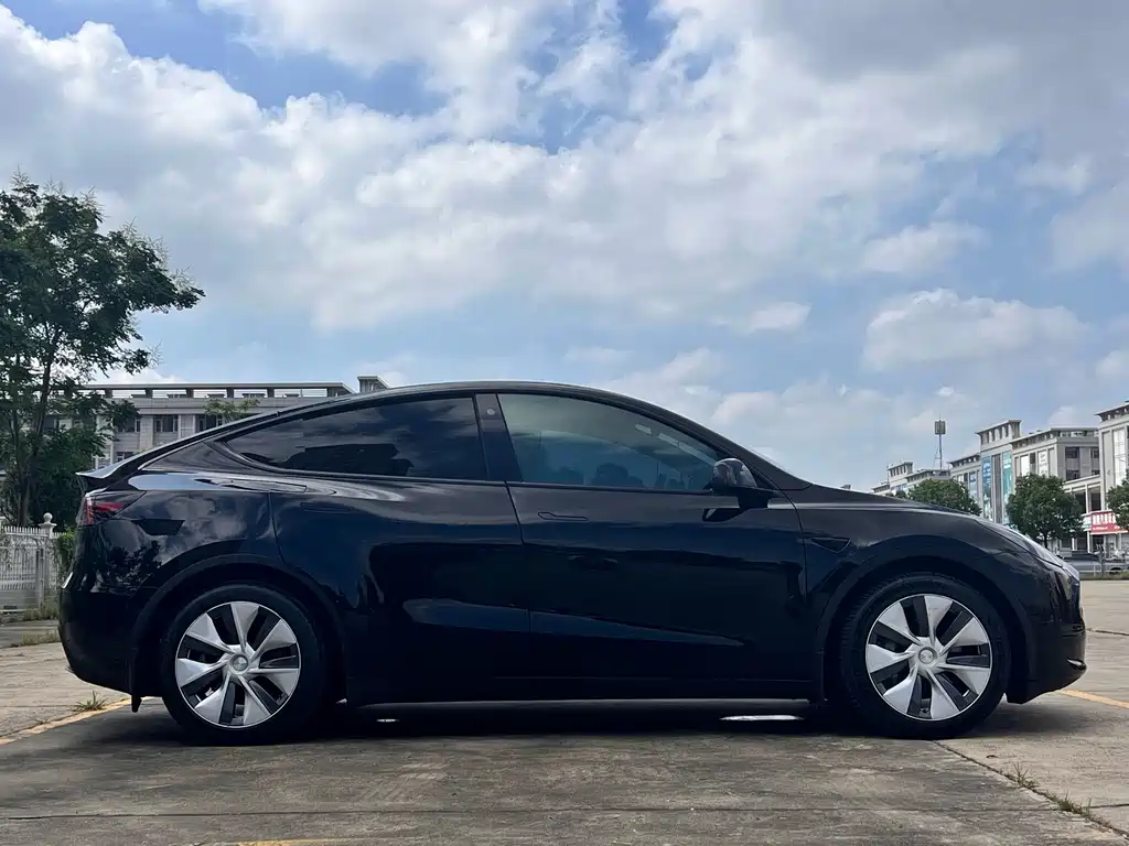 Tesla Model Y — миниатюра 11