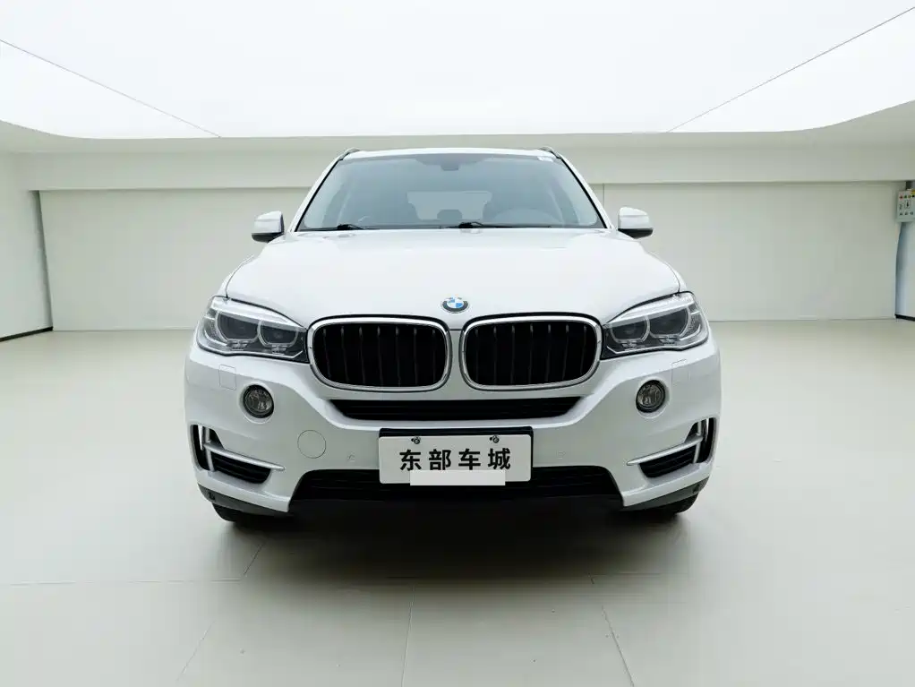 BMW X5 (Import) — миниатюра 2