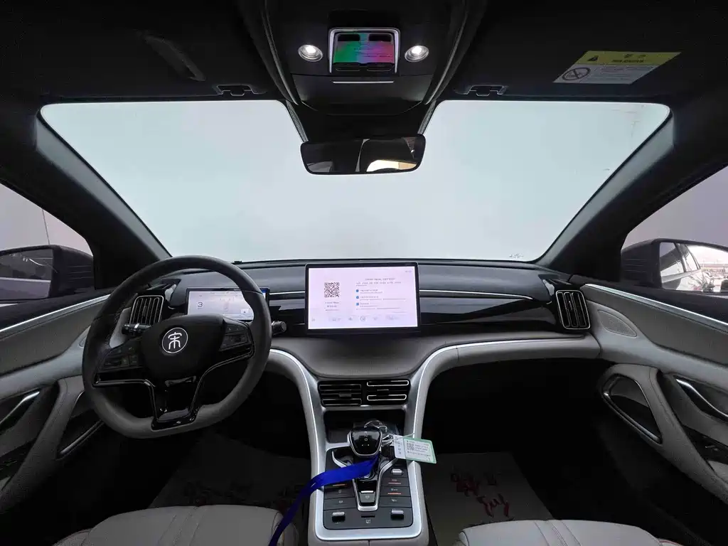 BYD Pro New Energy — миниатюра 5