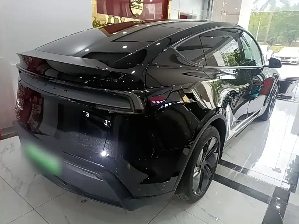 Tesla Model Y — миниатюра 7