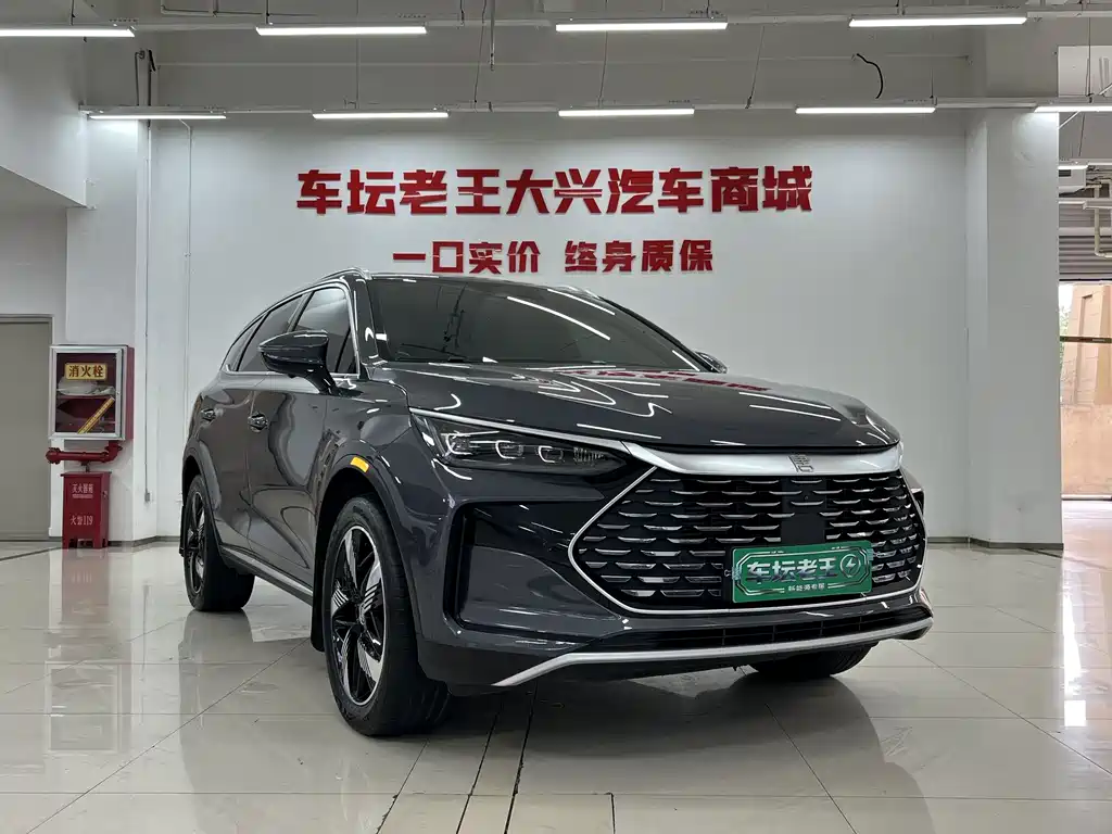 BYD Tang New Energy — миниатюра 3