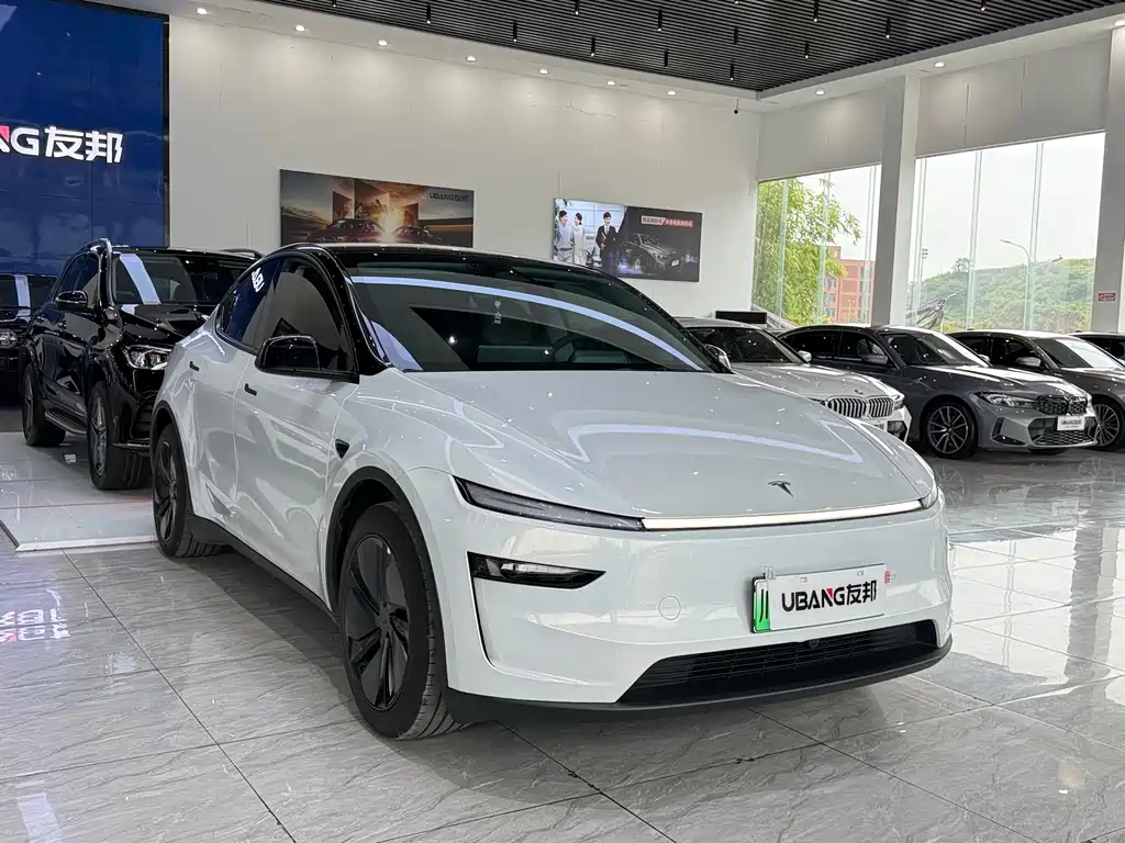 Tesla Model Y — миниатюра 2