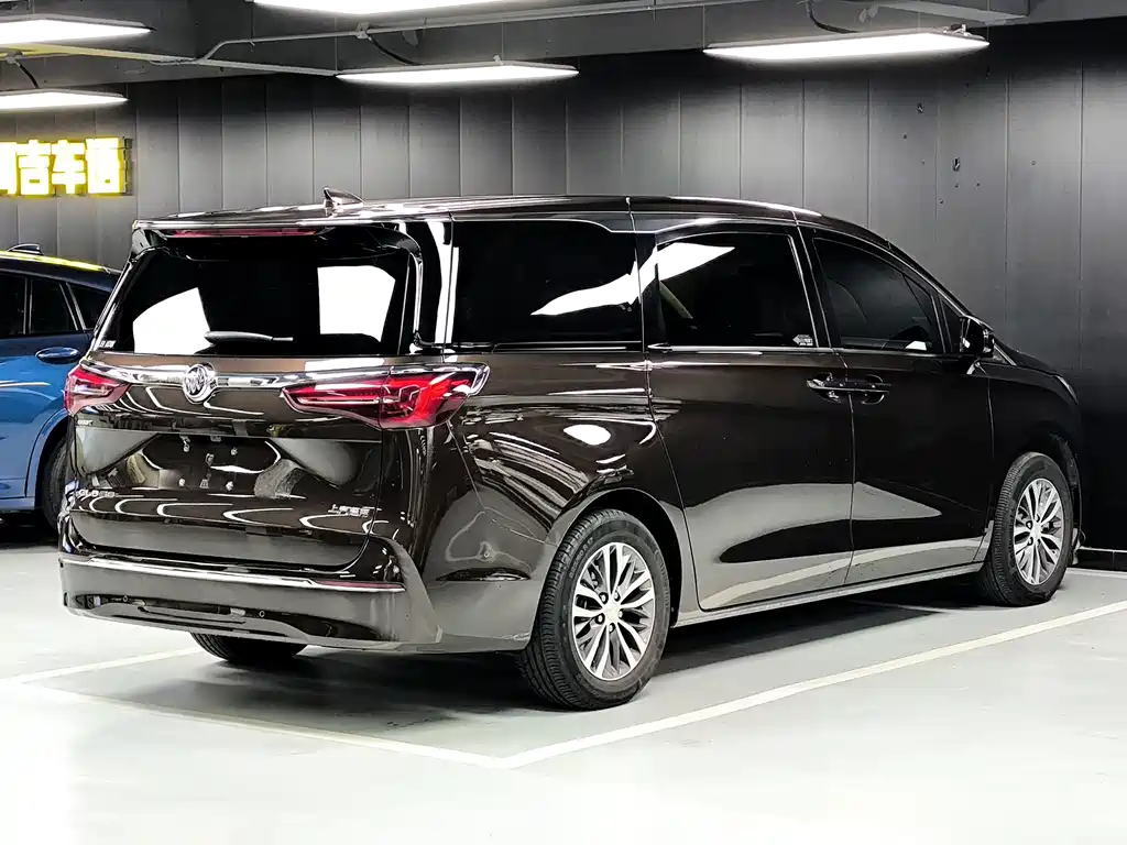 Buick GL8 — миниатюра 20