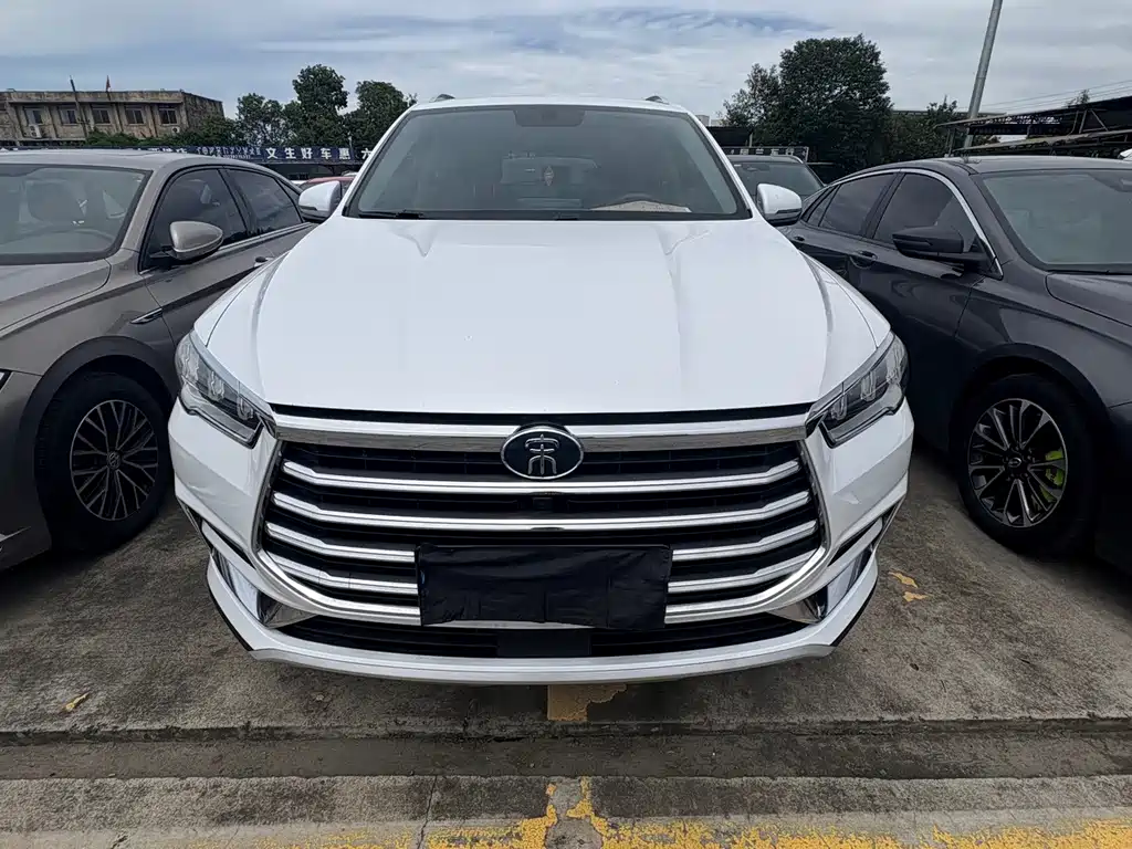 BYD Pro — миниатюра 2