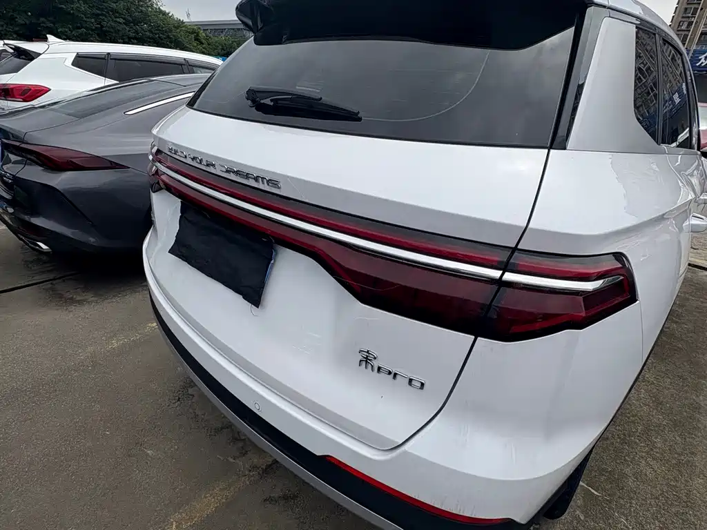 BYD Pro — миниатюра 16
