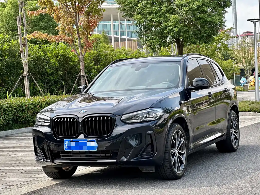 BMW X3 2023 xDrive30i Lead M