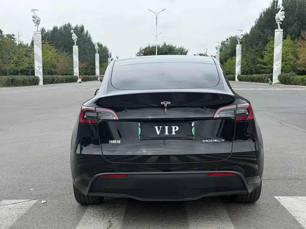 Tesla Model Y — миниатюра 4