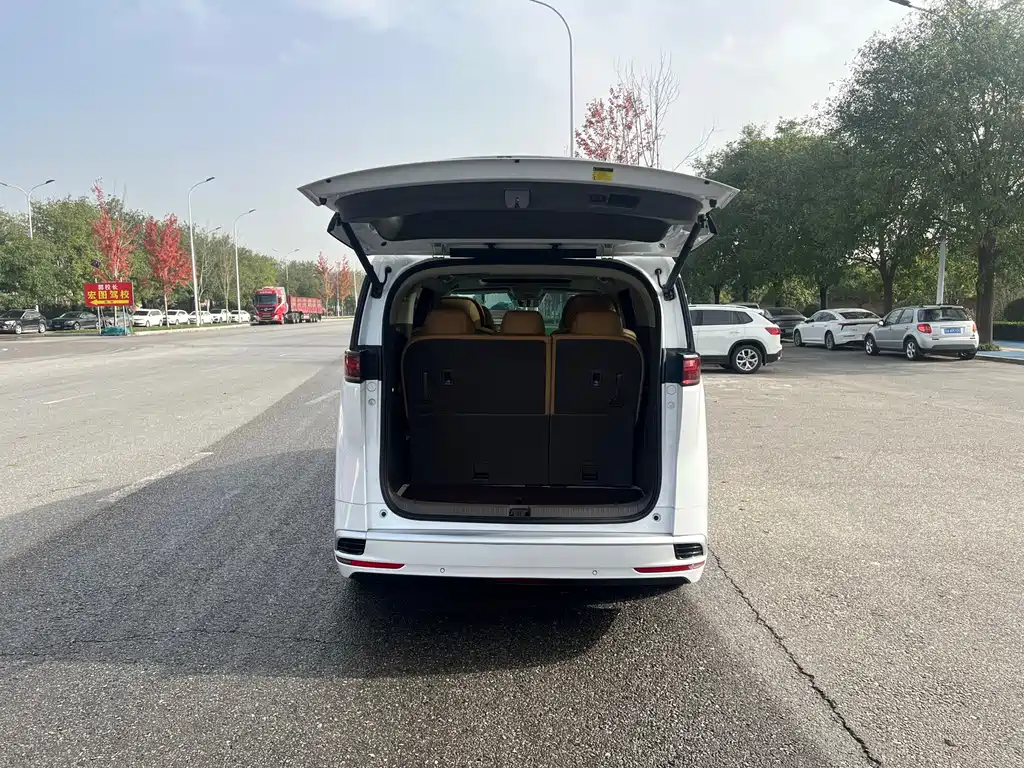 Denza Denza D9 — миниатюра 19