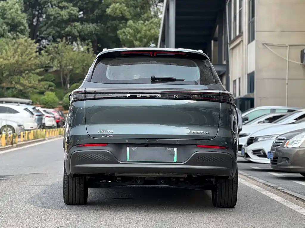 Fulwin Fengyun T8 — миниатюра 8