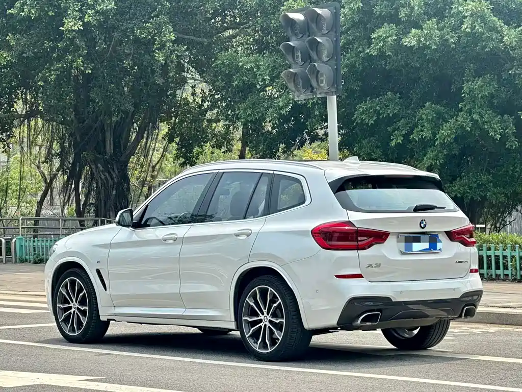BMW X3 2020 xDrive30i Lead M Sport