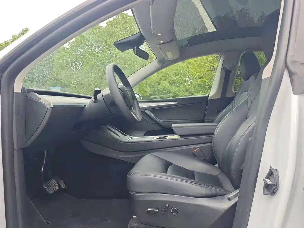 Tesla Model Y — миниатюра 8