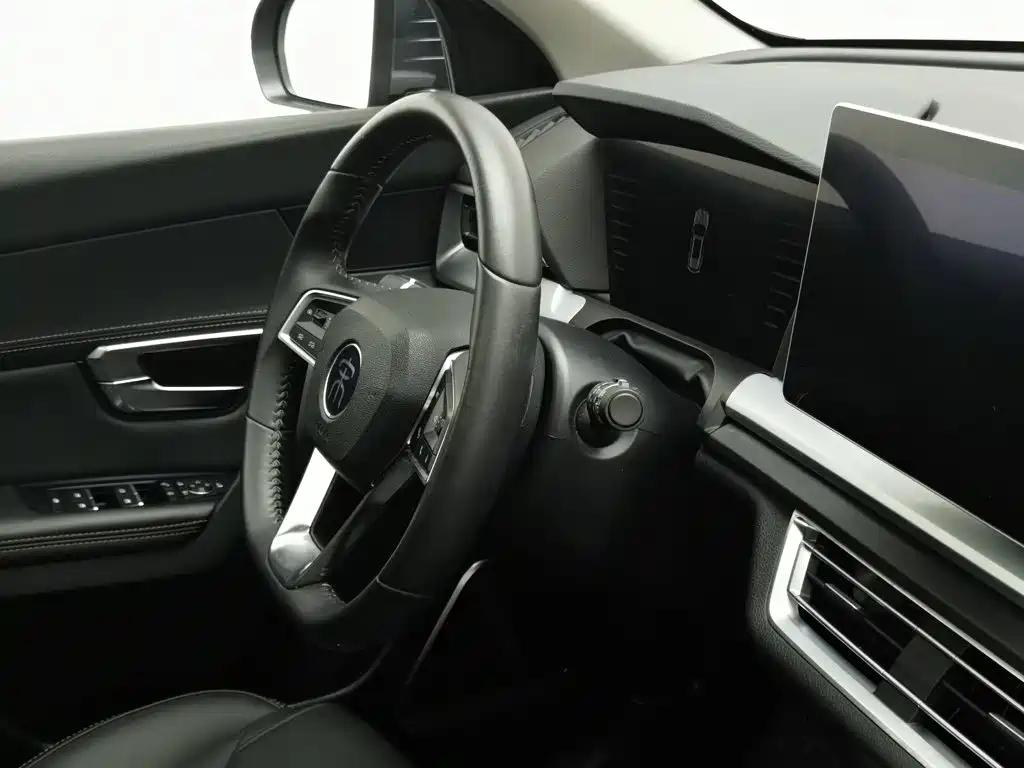 BYD Pro — миниатюра 22
