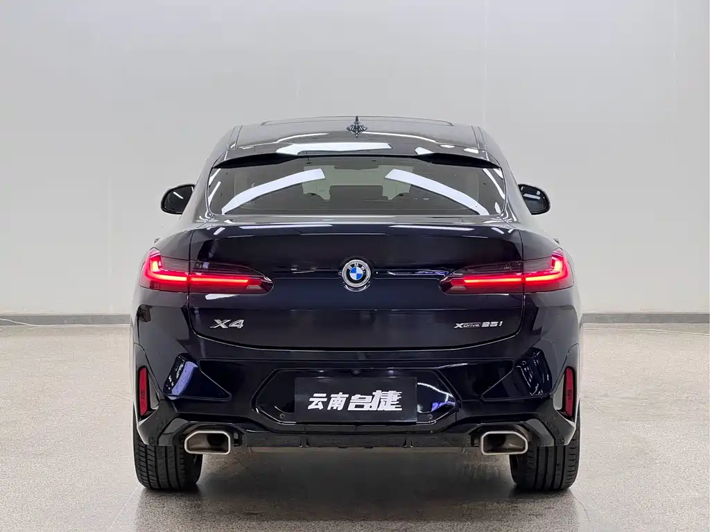 BMW X4 — миниатюра 6