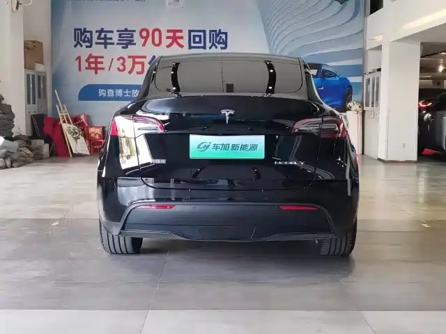 Tesla Model Y — миниатюра 8
