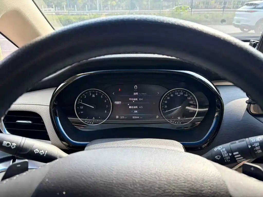 Buick GL8 — миниатюра 14