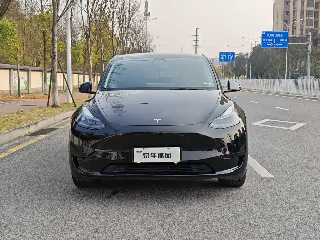 Tesla Model Y — миниатюра 3