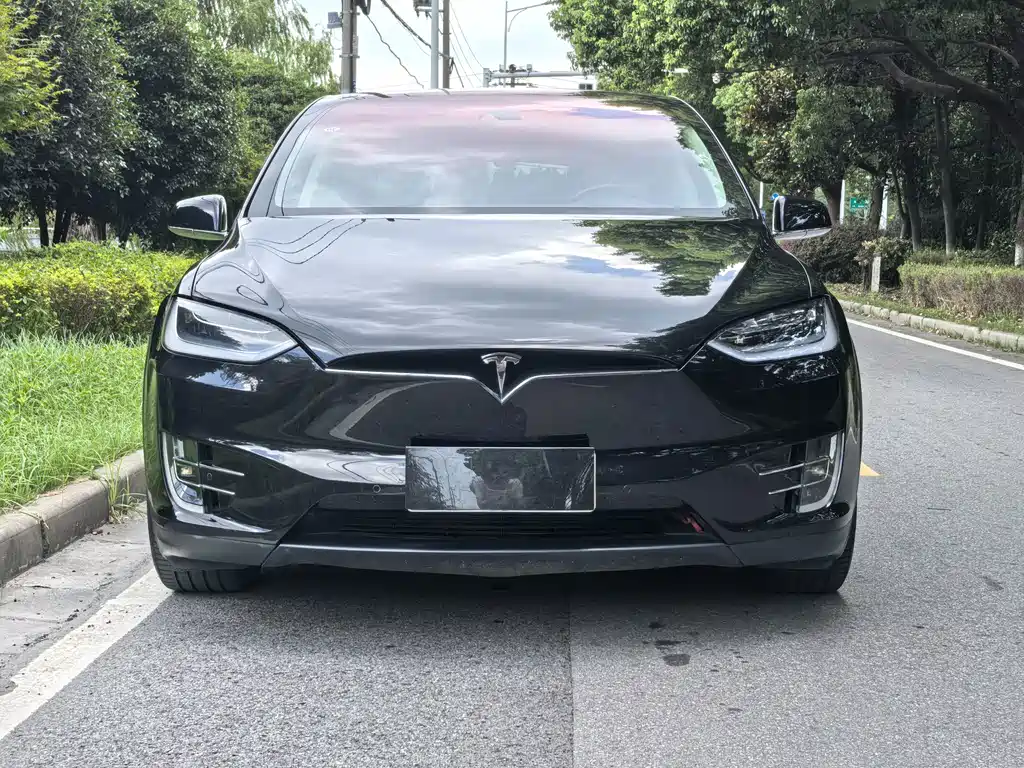 Tesla Model X — миниатюра 2
