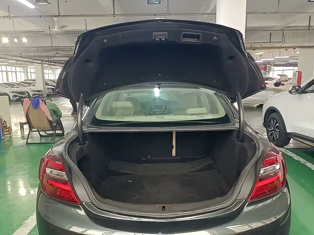 Buick Regal — миниатюра 19
