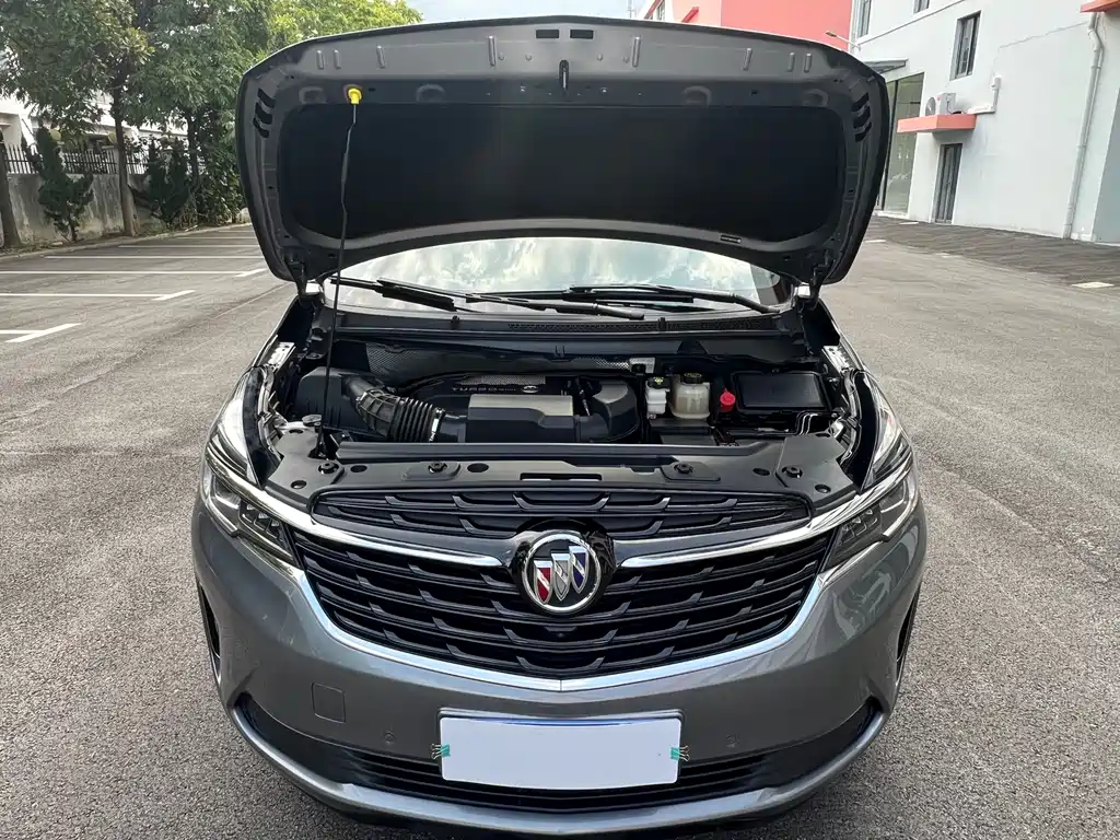 Buick GL8 — миниатюра 11
