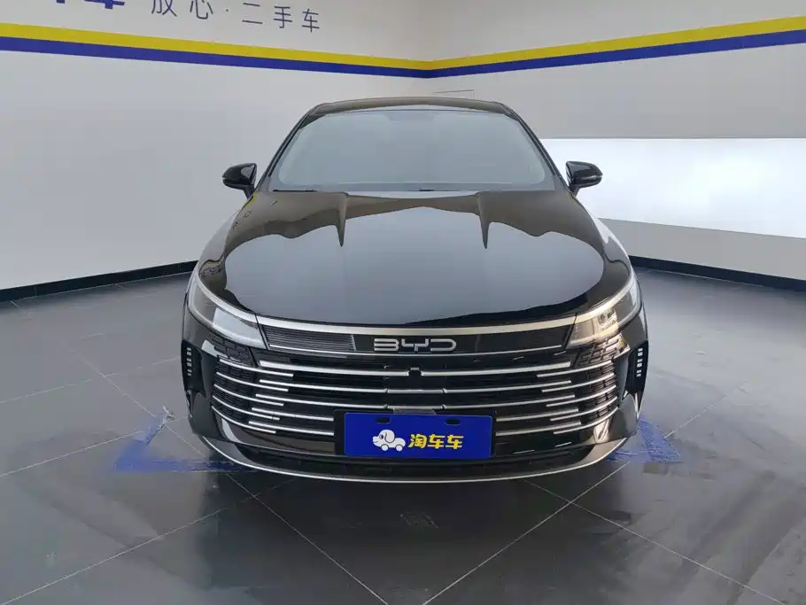 BYD Destroyer 05 2024 DM-i 55KM Luxury