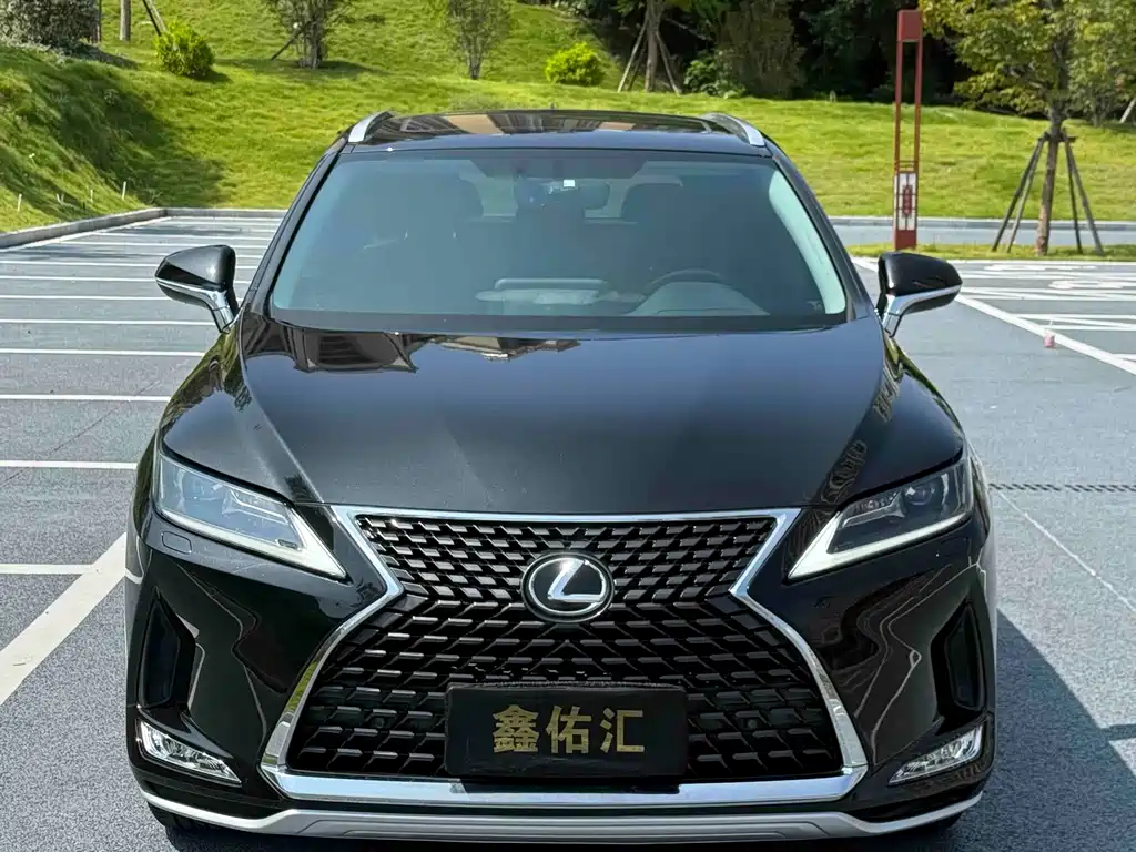 Lexus RX — миниатюра 2