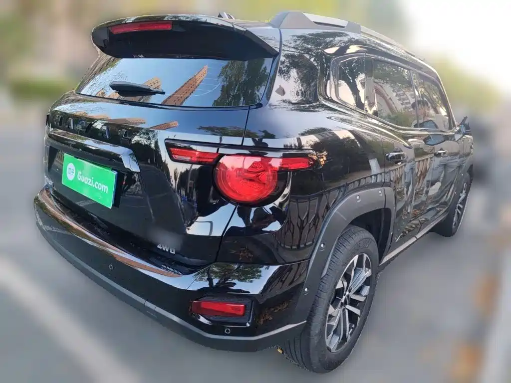 Haval Big Dog PLUS — миниатюра 6