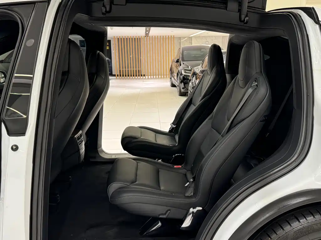Tesla Model X — миниатюра 12