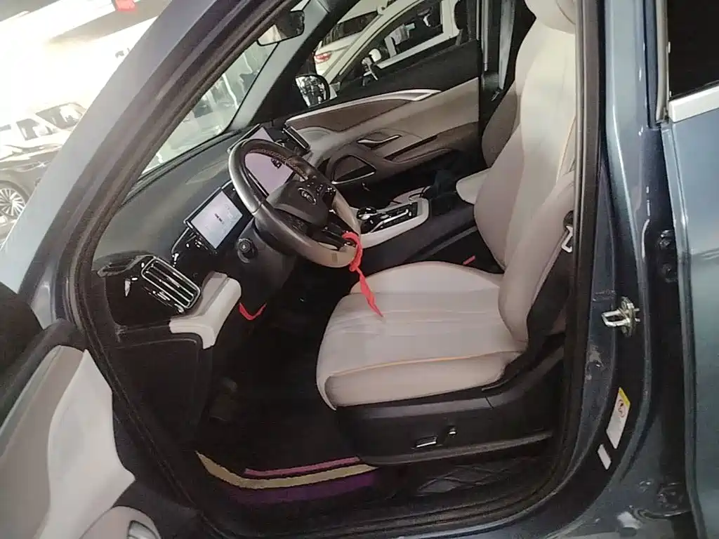 BYD Pro New Energy — миниатюра 16