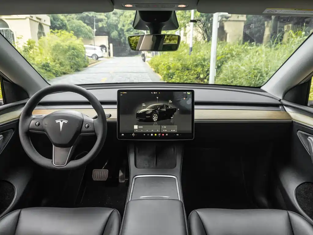 Tesla Model Y — миниатюра 11