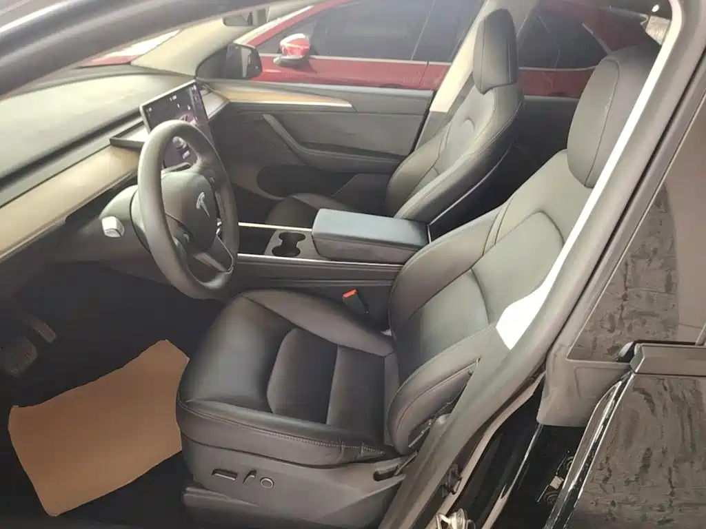 Tesla Model Y — миниатюра 15