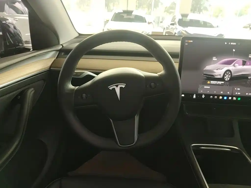 Tesla Model Y — миниатюра 11