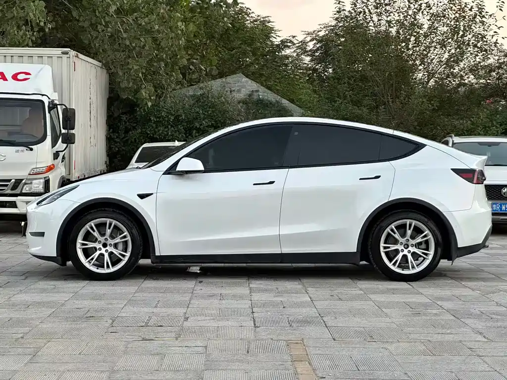 Tesla Model Y — миниатюра 10