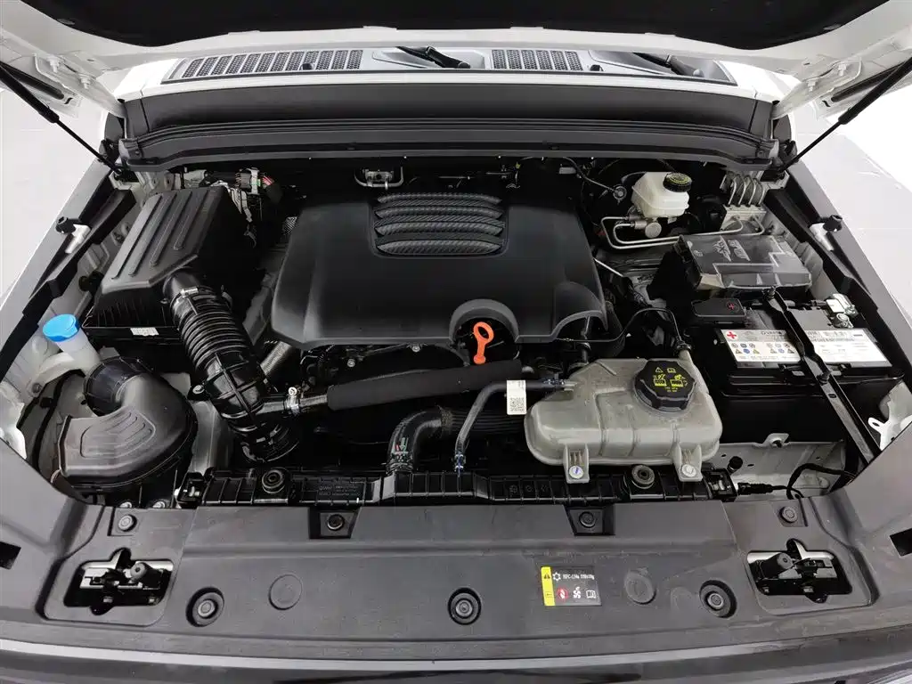 Tank 300 2024 2.0T