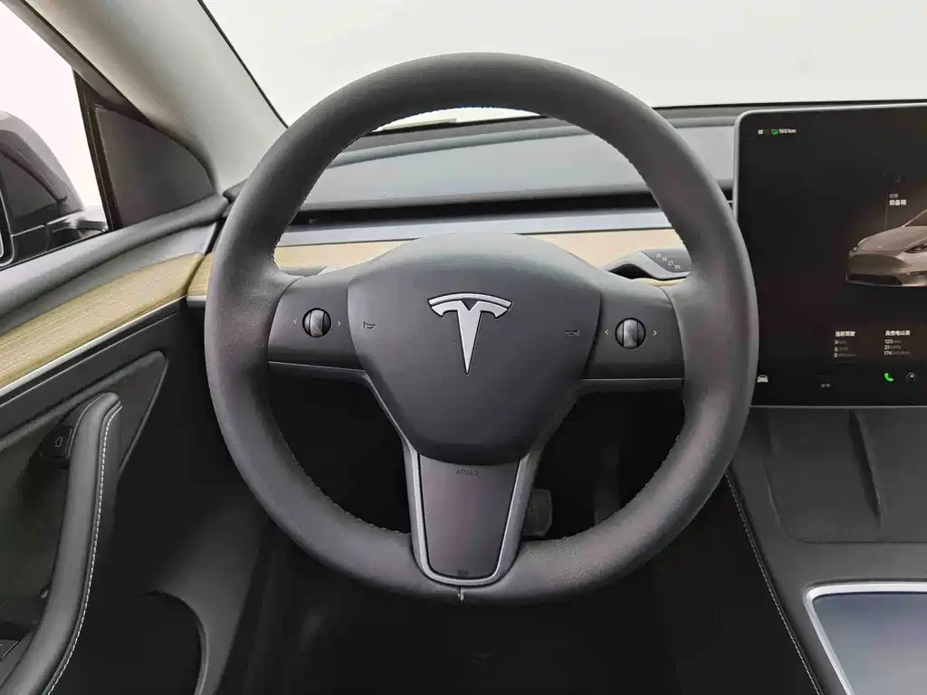 Tesla Model Y — миниатюра 7