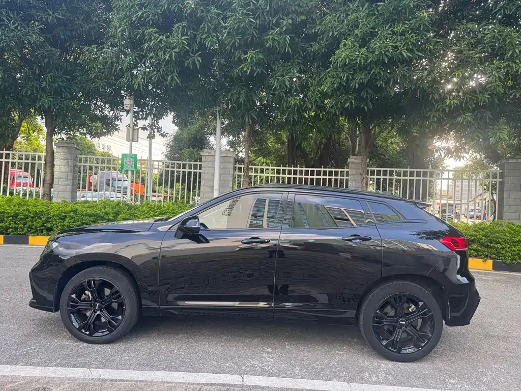 WEI PAI WEI BRAND VV7