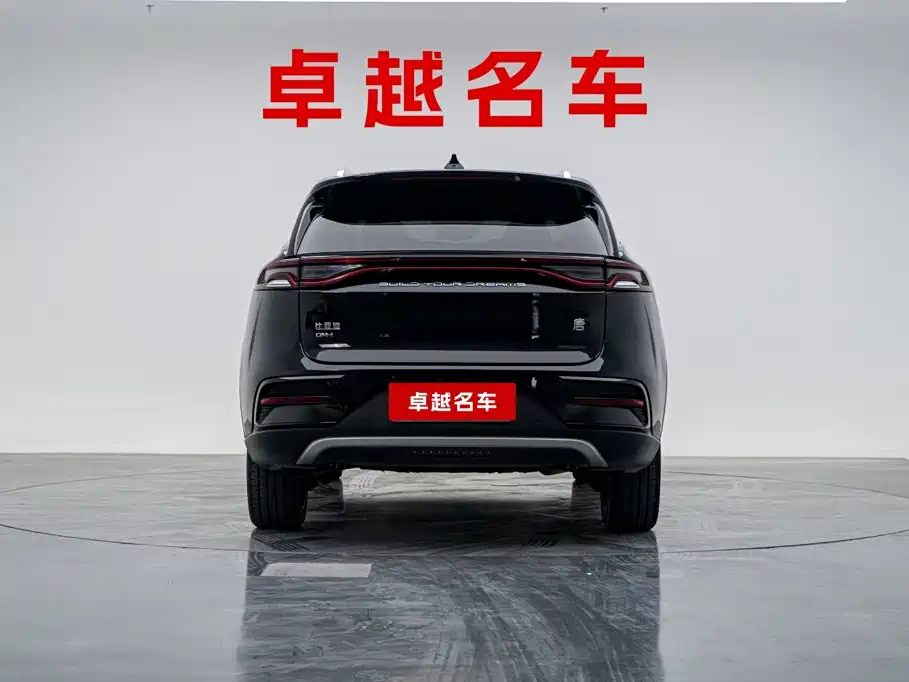 BYD Tang New Energy — миниатюра 2