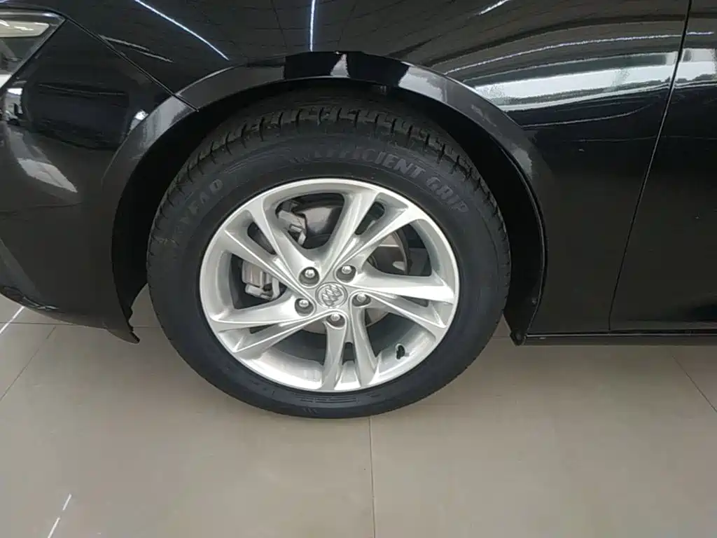 Buick Regal — миниатюра 23