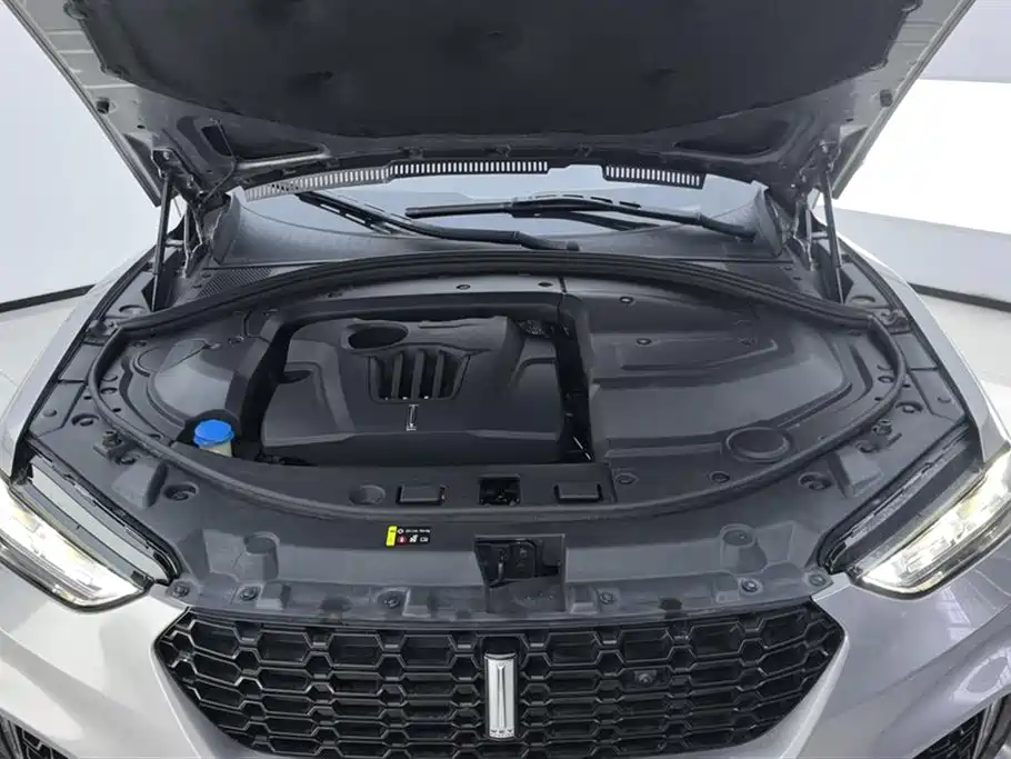 Wey VV7 2017 2.0T Flagship