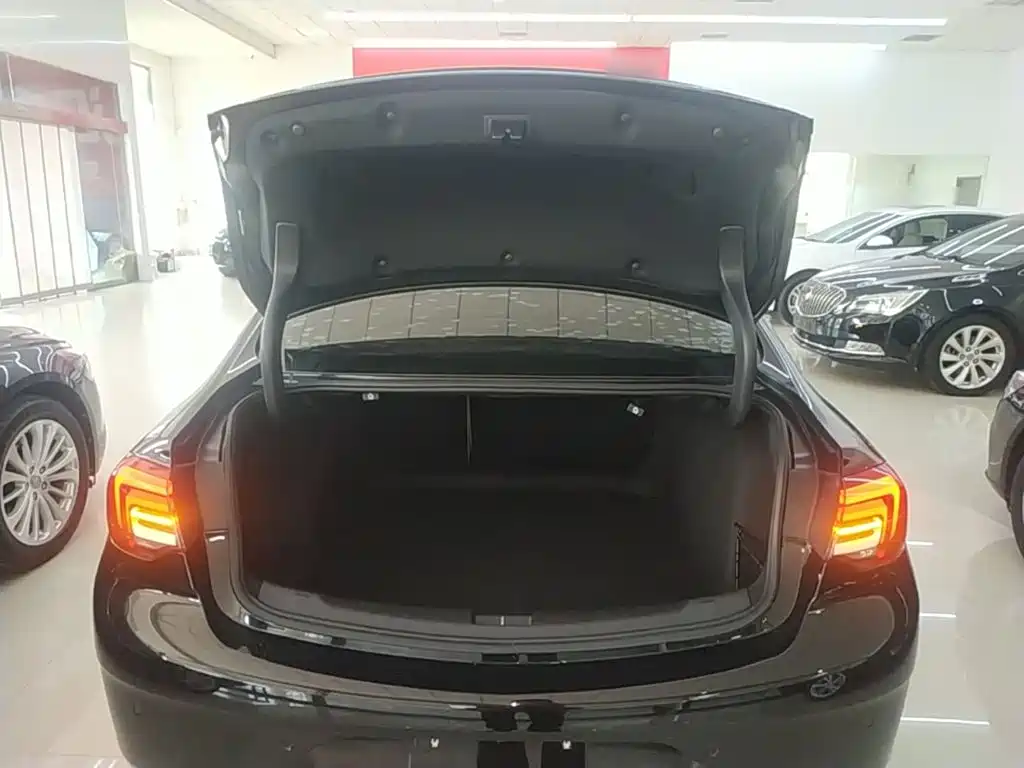Buick Regal — миниатюра 19