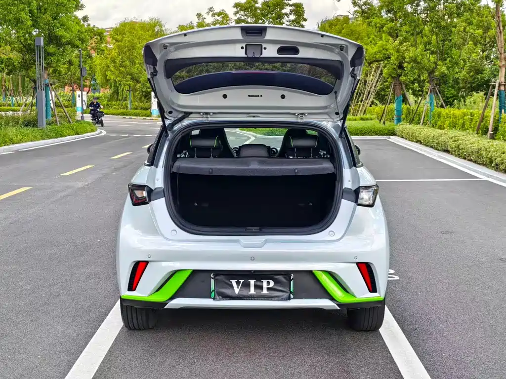 BYD Dolphin — миниатюра 9