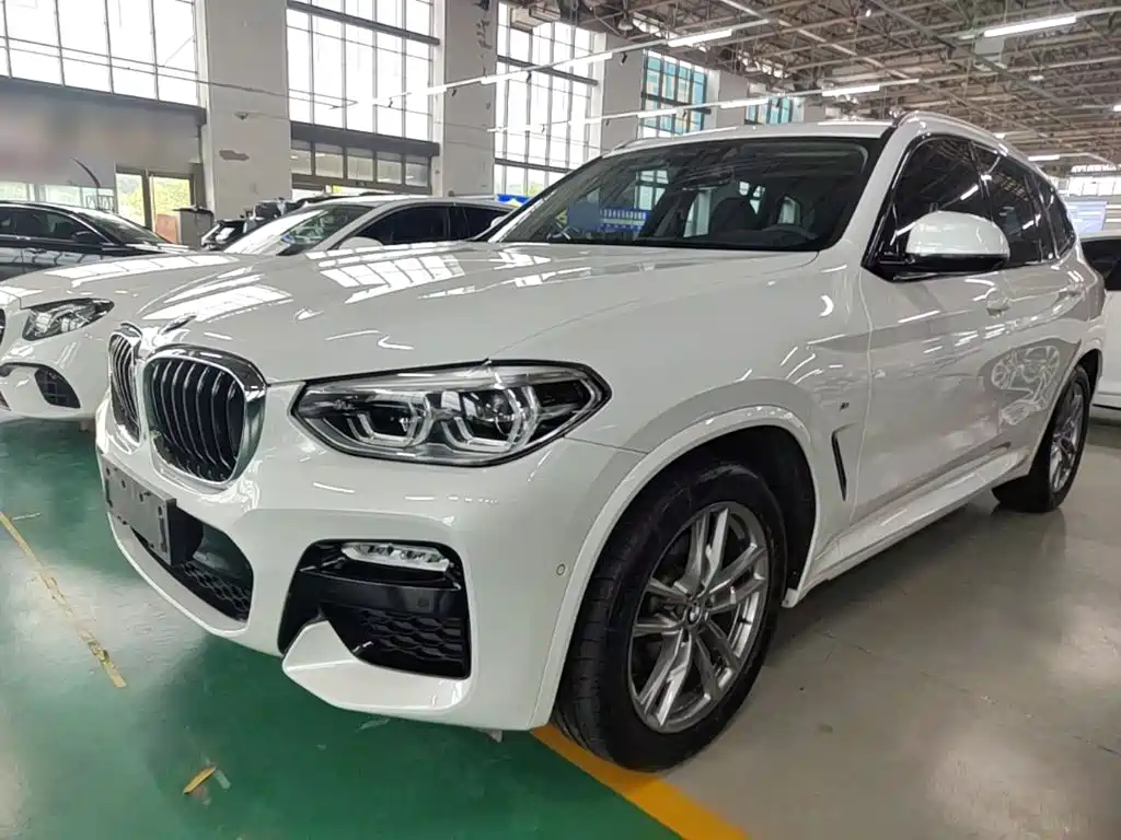 BMW X3 — миниатюра 2