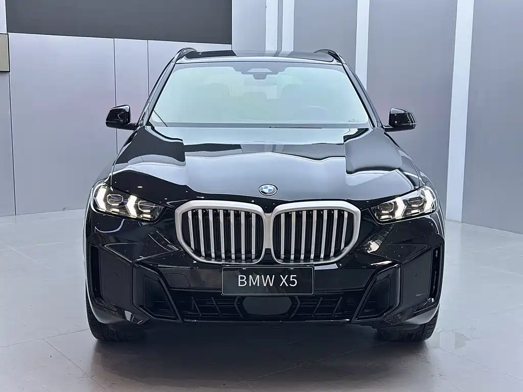 BMW X5 — миниатюра 2