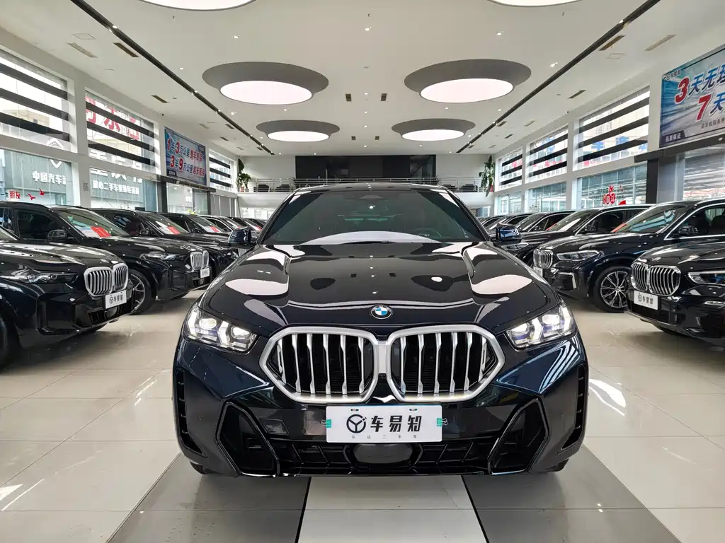 BMW X6 — миниатюра 2