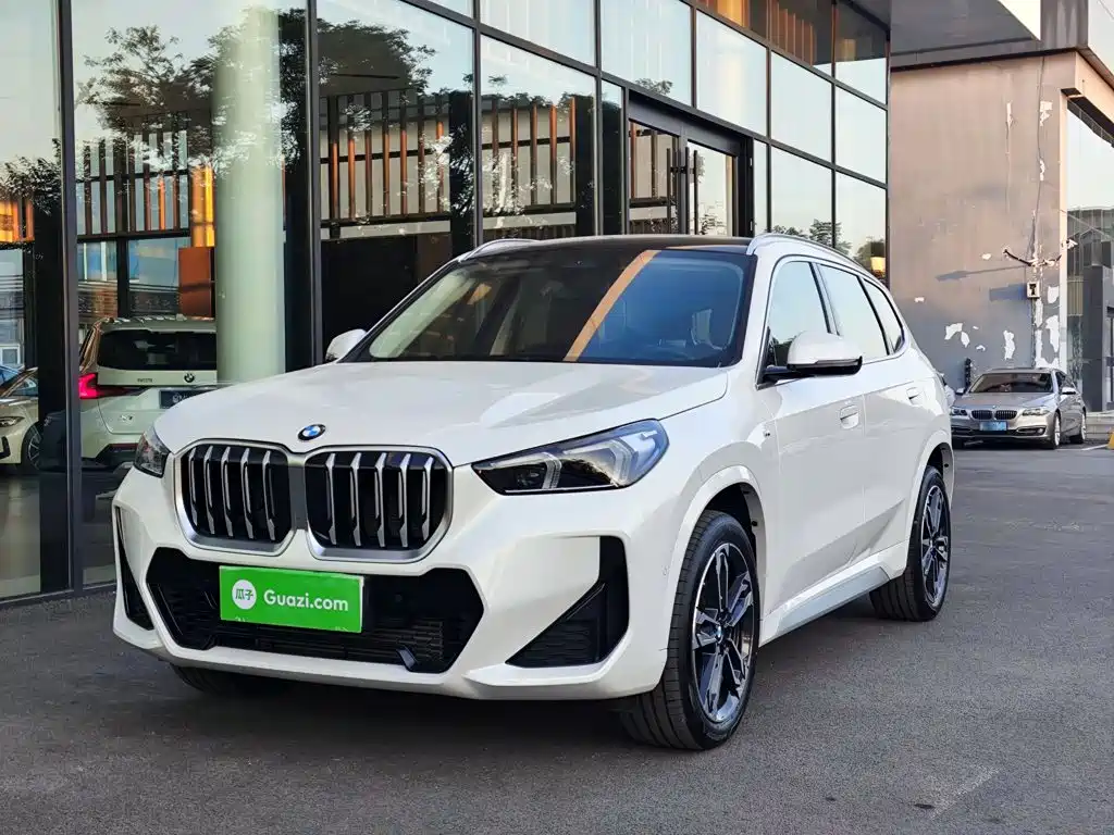 BMW X1 — миниатюра 2