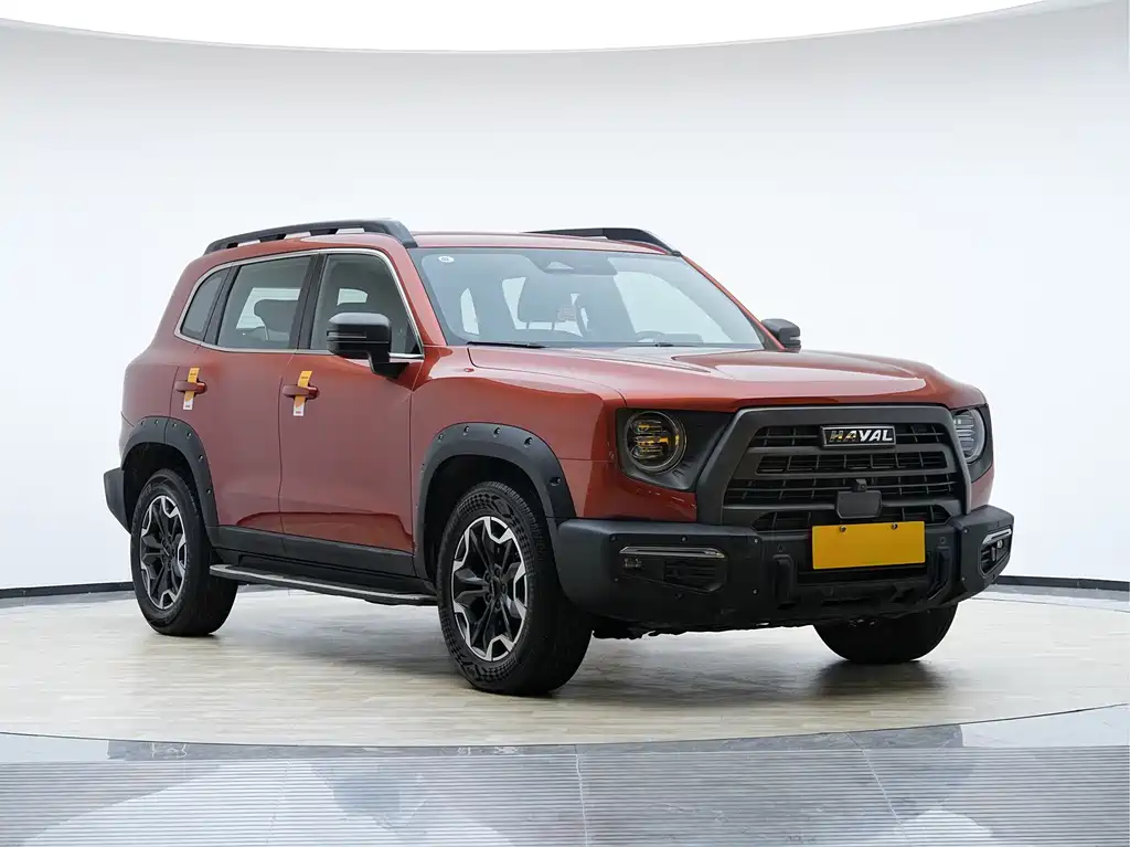 HAVAL BIG DOG